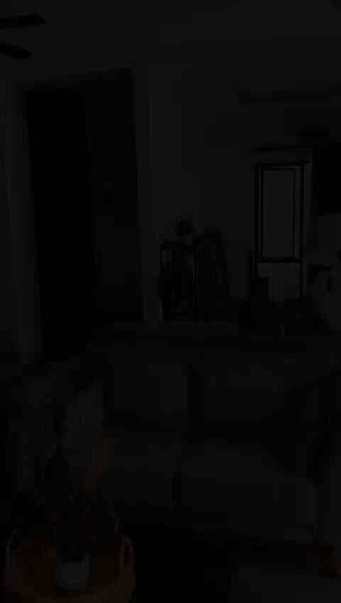 Beige and black toned two-person household living room with natural modern style sofa and coffee table arranged for spacious feel