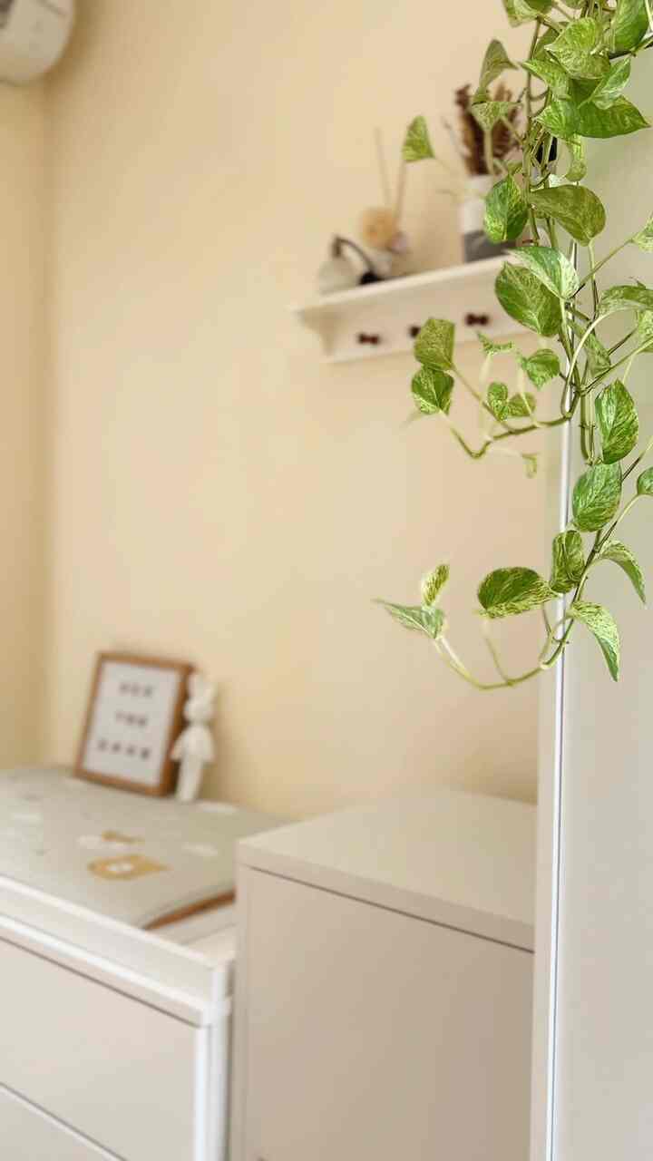 Persiapan dekor kamar bayi yang gabung dengan kamar ortu. Karena hanya ada 1 kamar di bearylion.

#HomeStylingVideo
#VideoHomeDecor
#InspirasiDecorRumah