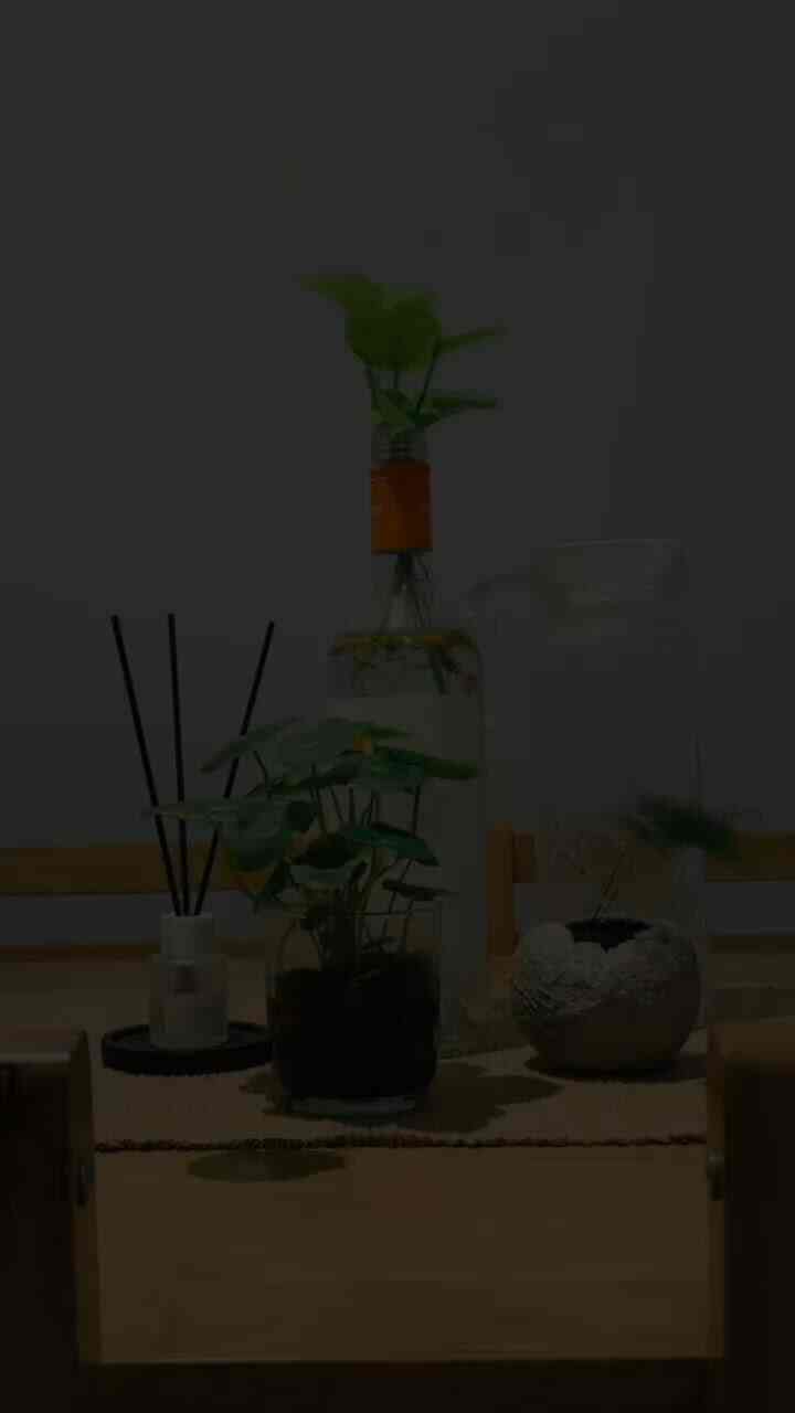 Friday afternoon, time to take care of indoor plants. So that the plants are healthy, our weekend won't wilt either! 🌱😄⁣⁣⁣
-⁣⁣⁣
#ornamentalplants #dekorasirumah #tanamanrumahan #sirihgading #asparagusfern #pegagan #tanamanindoor #hobbyberkebun #greenliving #homedecor #tanamancantik #tipsmerawattanaman #rumahasri #tanamandalamrumah #urbanjungle