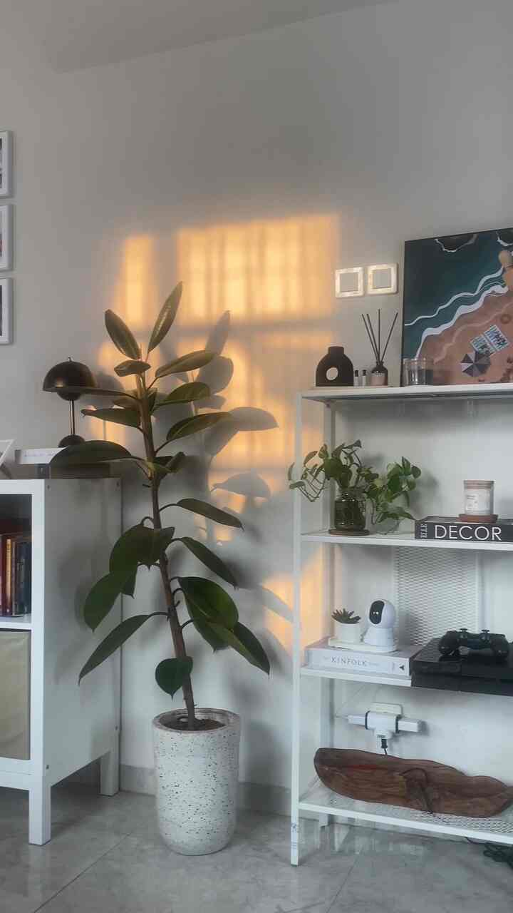 Menemukan rumah seperti menemukan jodoh , sudah cari di beberapa tempat dan sampai sudah bersiap akad tapi nyata berjodoh sama rumah yang sebenernya deket bangets dengan rumah kami sebelumnya

Rumah yg sudah memasuki 10 bln berjalan ini , sunguh membawa warna yang menarik bagi cerita kehidupan keluarga kami

Untuk detail home tour bisa cek di 

https://www.google.com/url?q=https://link.ohouse.com/sulistyaivana&sa=D&source=editors&ust=1723342327177195&usg=AOvVaw07SPC_rMS1BA-ZTMtsqYTD


#myhomestory
#minihousetour
#ceritarumahku
#homesweethoome
#segehouse