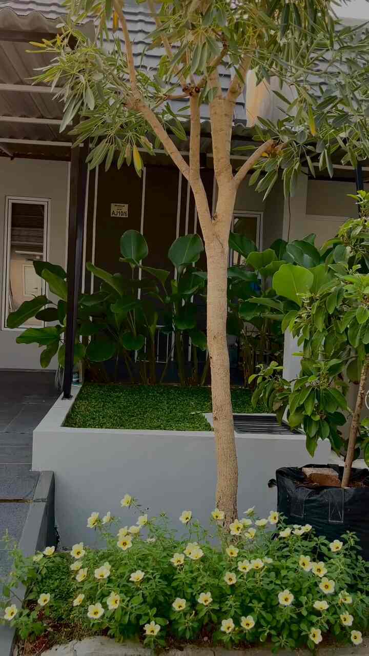 Sedikit House Tour Video dari rumah kami 🤍🤍
Rumah mungil dengan ukuran 39/75.

Semoga dapat menginspirasi ✨✨🫶🏻



#videohometour #videoroomtour #mainkerumahku #rumahcluster #rumahminimalis