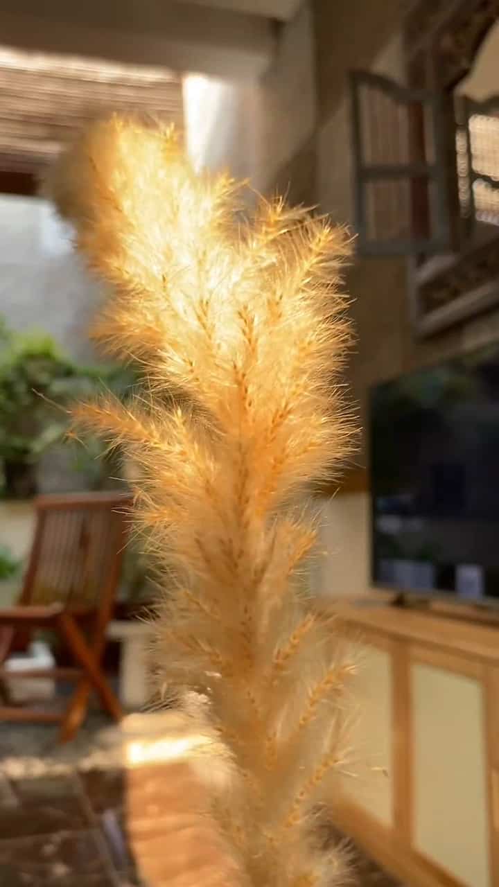 From ✨Golden Hours✨ into the Night Mode 🌜
Rumah kami Omahpiye memberikan sensasi yang berbeda antara siang dan di malam hari. 
Satu kesamaan: nyaman dan homey🫶🏻

#HomeTourVideoContest #tinyhouse #rumahcluster #LivingRoomInspo