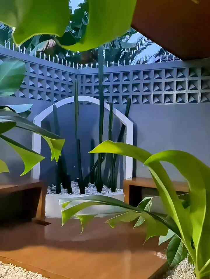 Apakah Anda menyukai suasananya?

#Taman #BackyardGarden #Taman #TamanBelakang #TamanBelakangRumah #Kaktus #Roster #Cat #CatRumah #Monstera #PlafonPvc 