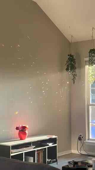 Sepotong ruang tamu saya! Saya suka vas stroberi dan penanam bola disko saya.
#strawberry #discoball #plants