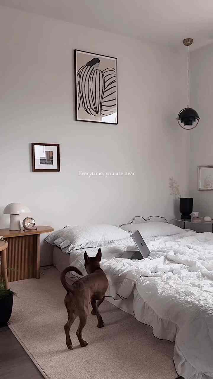 Momen damai bersama bayi berbuluku, milo🖤

#kamar tidur #bedroomdecor #neutral #lamp #homedecor #rug #frame #frameinterior #clock #gubi #fritzhansen #vintagemirror #nordicstyle #dog