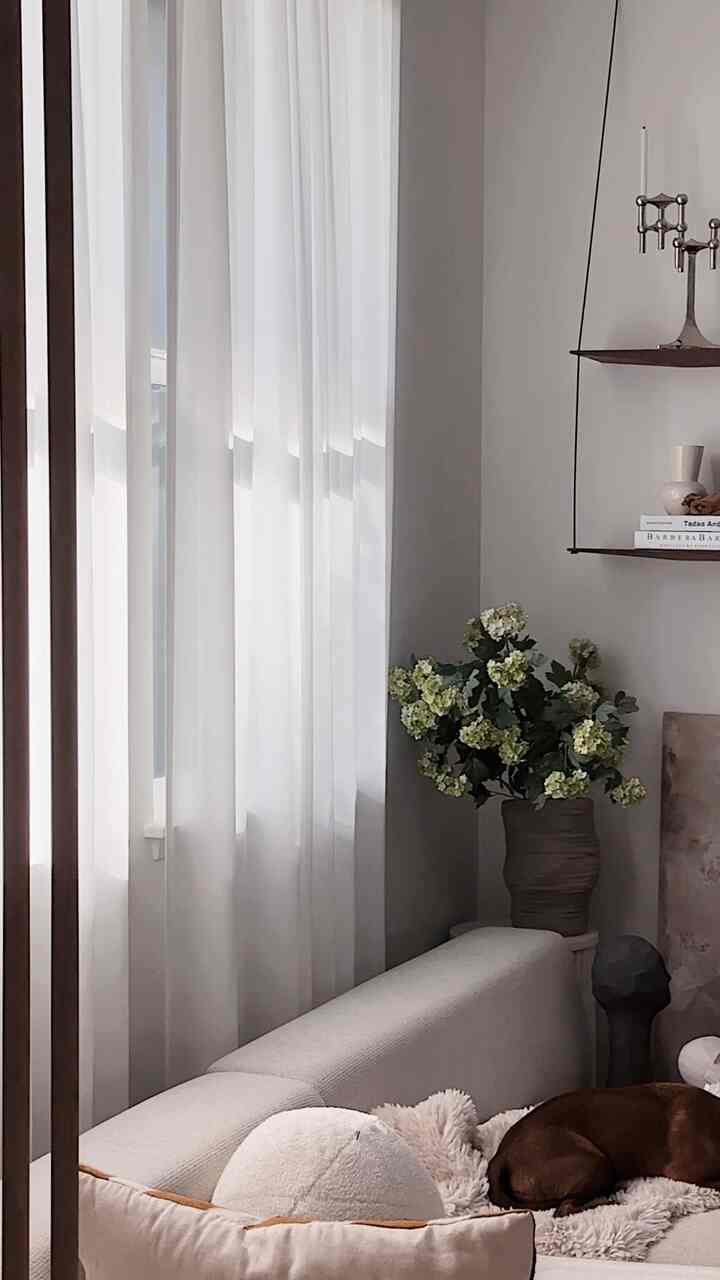 Natural-toned living room with white curtains, beige sofa, vase with flowers, and a dog resting peacefully