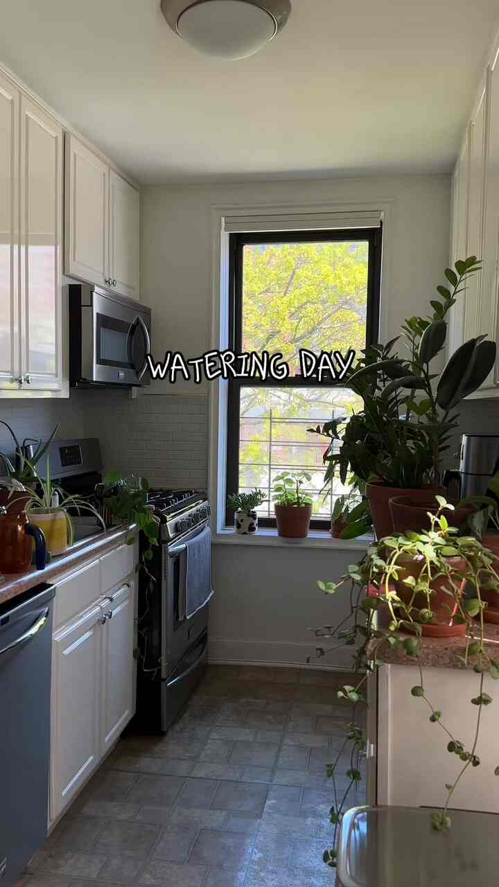If you have many plants you know watering day it's a blessing and a curse 🪴 #plants #plantsinterior #moderneclectic #kitchen 