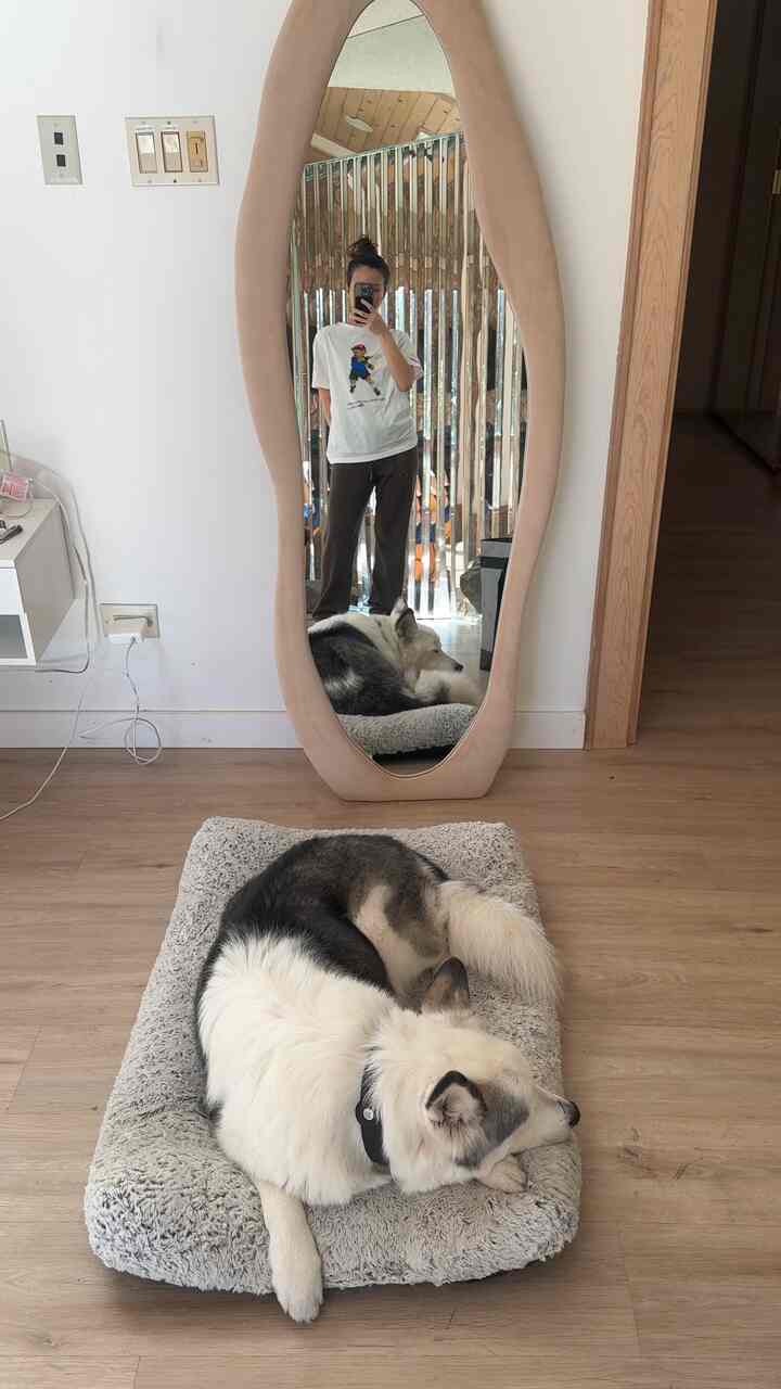 Cozy #masterbedroominterior 