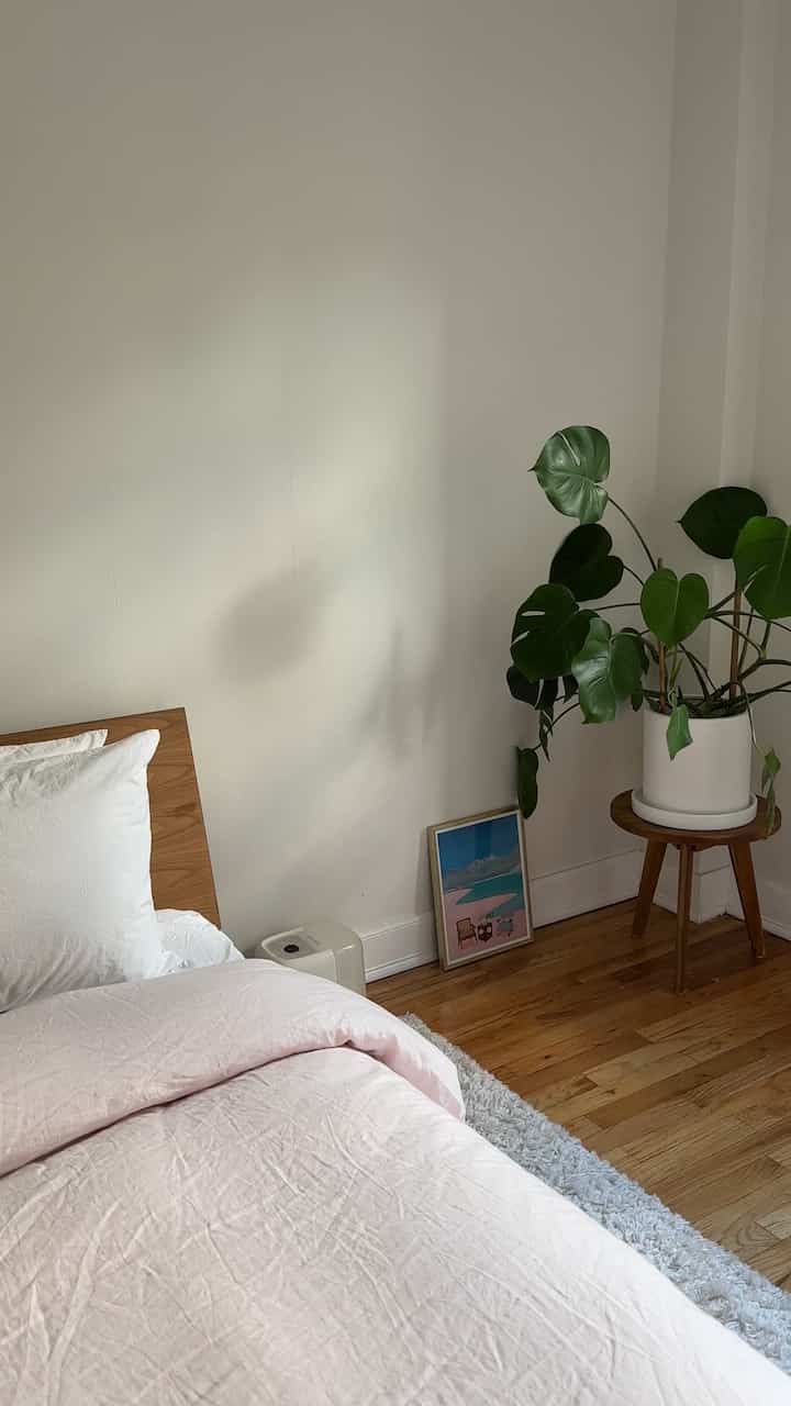 Best corner in my bedroom 💖 #moderneclectic #bedroominterior #plants #beddinginterior 