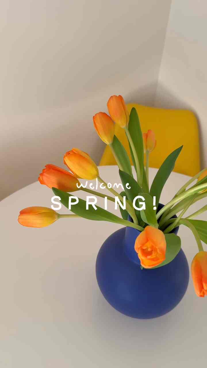 Nothing like the first bouquet of flowers for your home once spring starts 🥹🌷
#moderneclectic #flowerinterior #springinterior