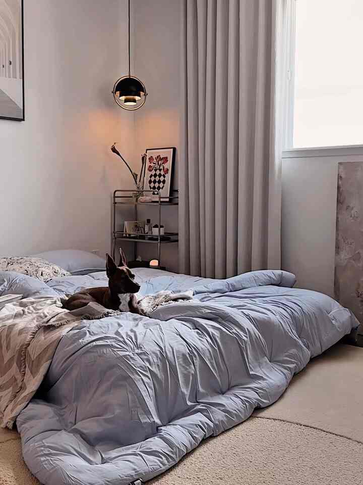 Spring -inspired bedroom styling 💙

#bedroom #bedroominterior  #bedroomdecor #bedding #trolley #poster #posterframe #rug #lamp #lightinginterior #colorinterior #moodlighting #vase #flower #flowerinterior #diffuser #clock #springinterior #spring 