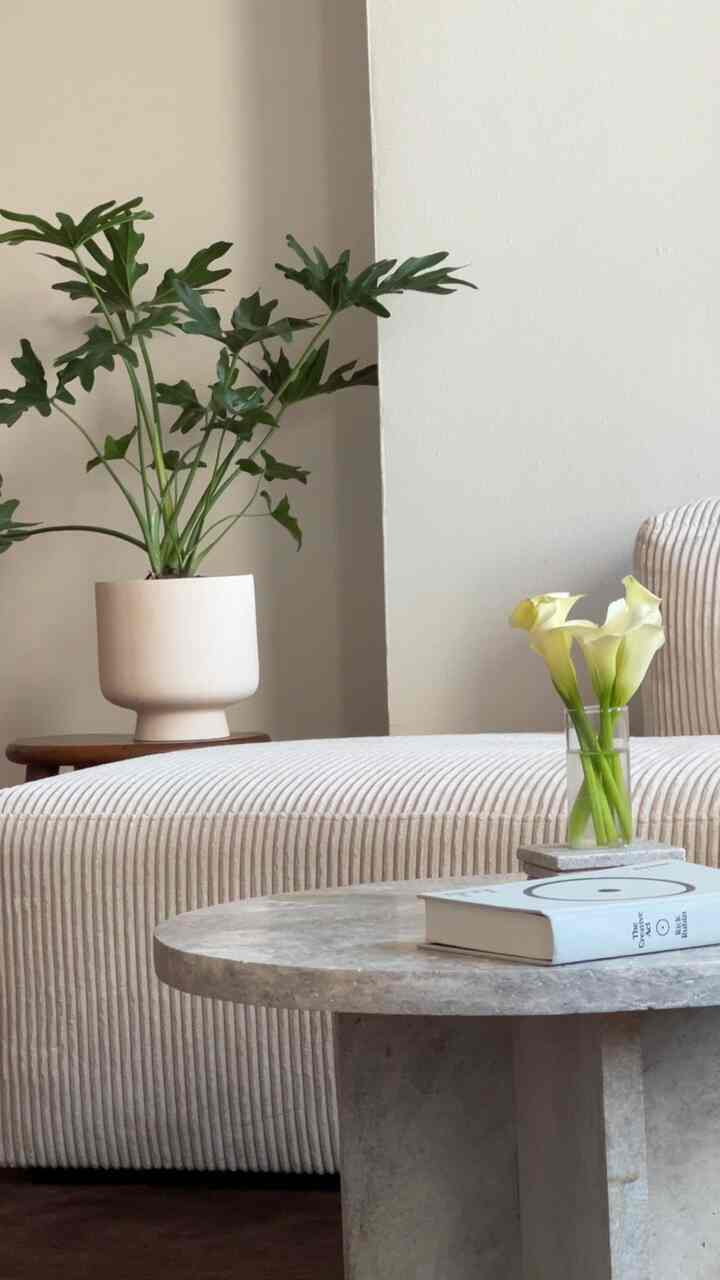 How i style my space ❣️ #apartment #livingroom #style