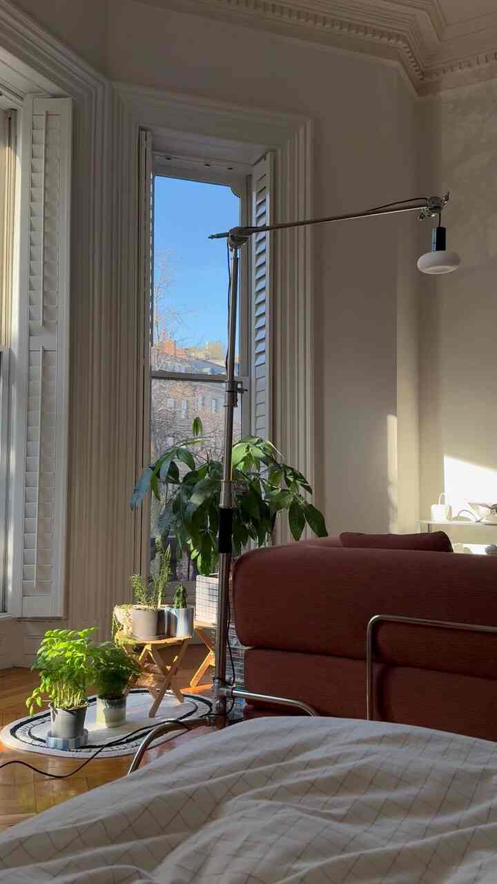 The golden hour #komorebi