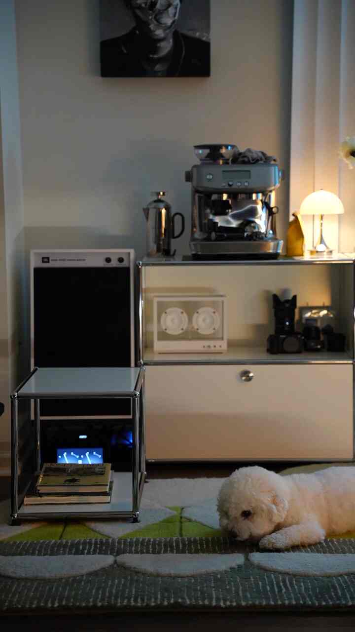 A cozy living room in calm white and gray tones featuring a coffee machine, side table, and a white dog resting on the rug