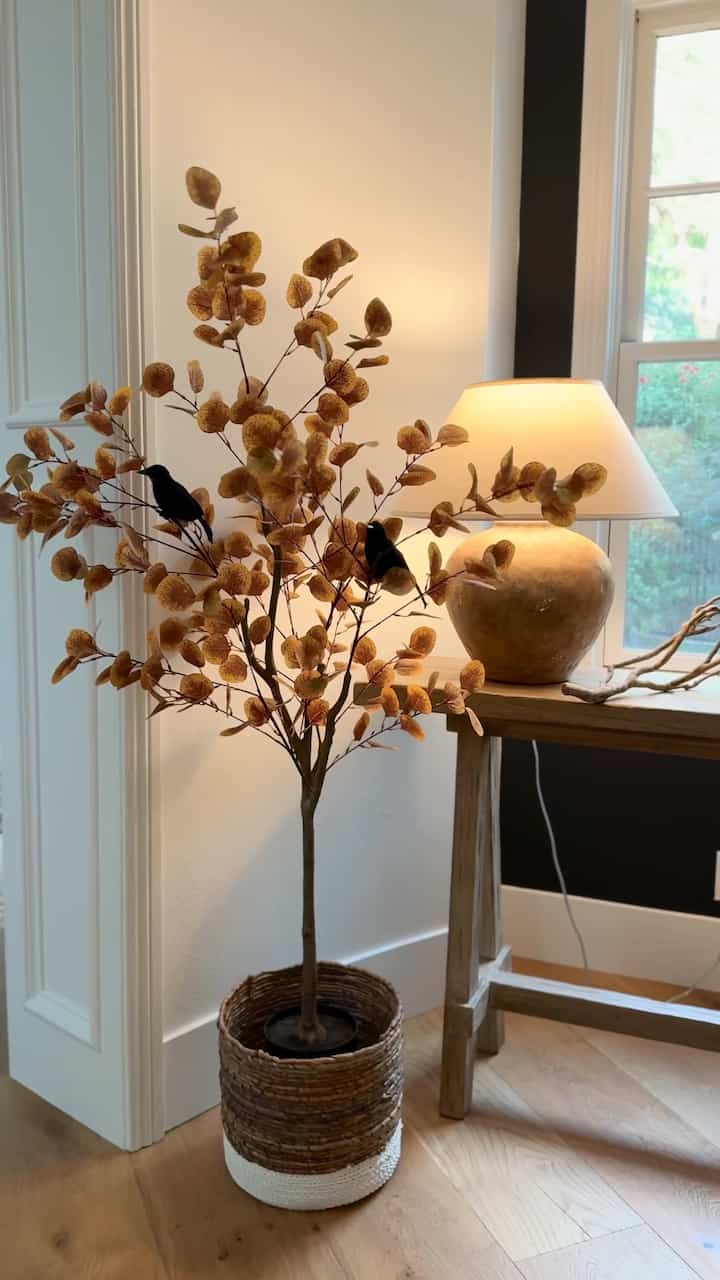 Halloween entryway styling! #halloweenvideo #halloweenentryway #halloweenstyling