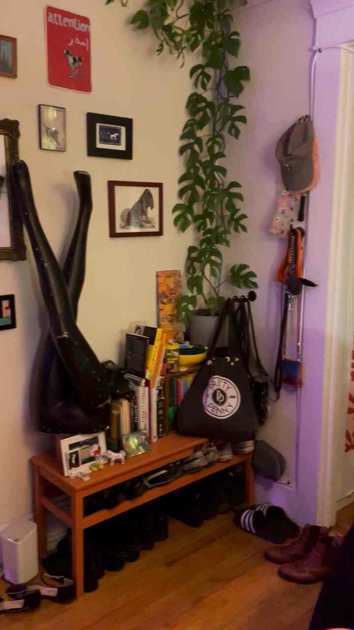 Natural-toned living room entrance area featuring a wooden bench, hanging plant, and colorful lighting for a cozy vibe