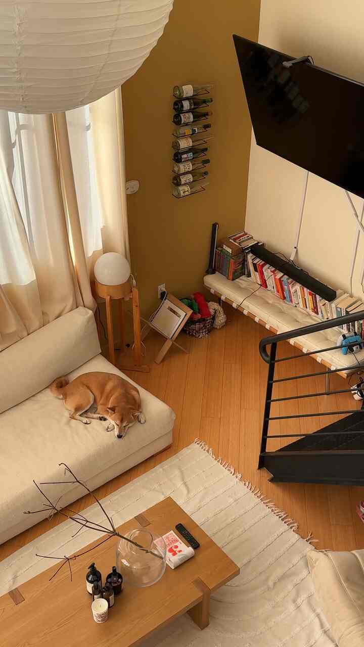 Last bit of sunlight before fall gloom #cozyhome #fallinterior #lofthome #japandi