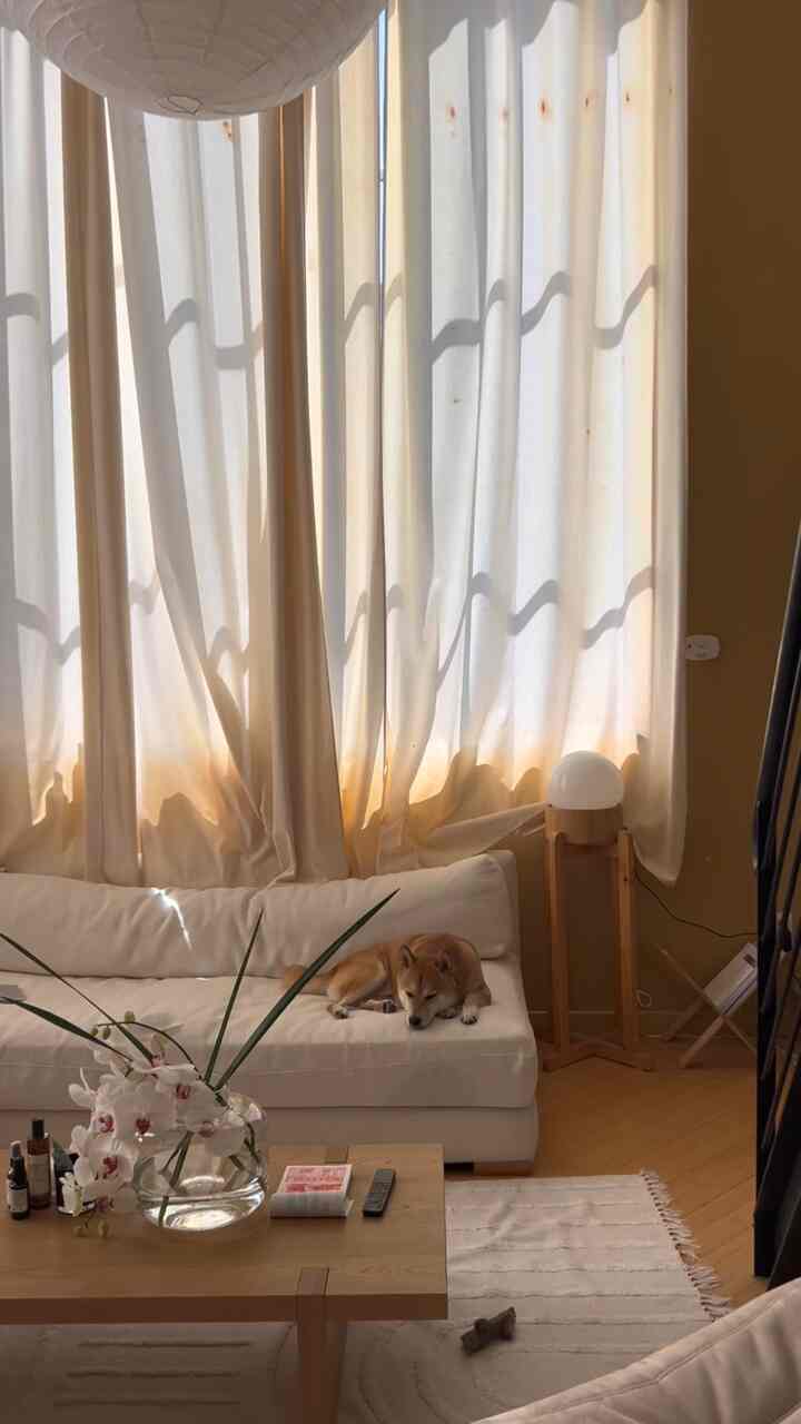 nooks and crannies #loftapartment #japandi #sunlight #lightinginterior 