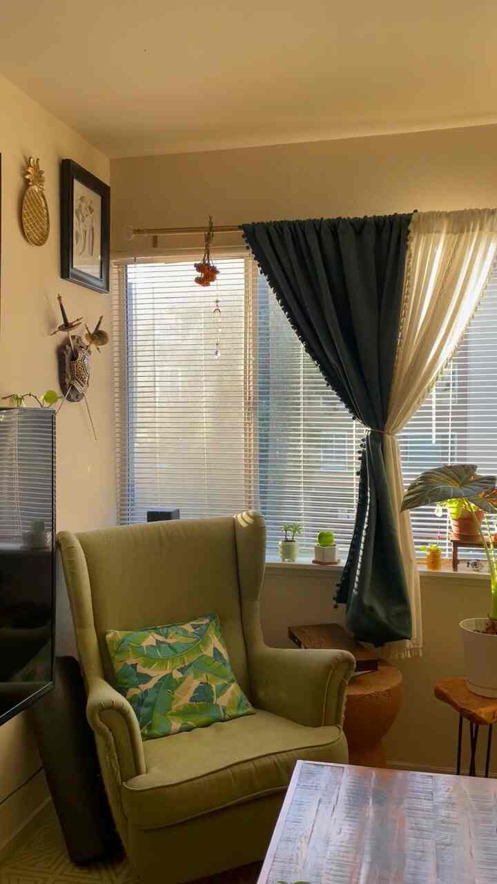 It’s #goldenhour in my living room! I love the way the light hits my #plants 🍃🌱 #eclecticdecor