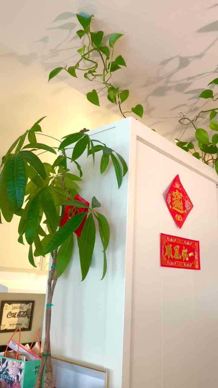 Played some festive #ChineseNewYear music to set the festive mood in my apartment! #lunarnewyear #eclectic