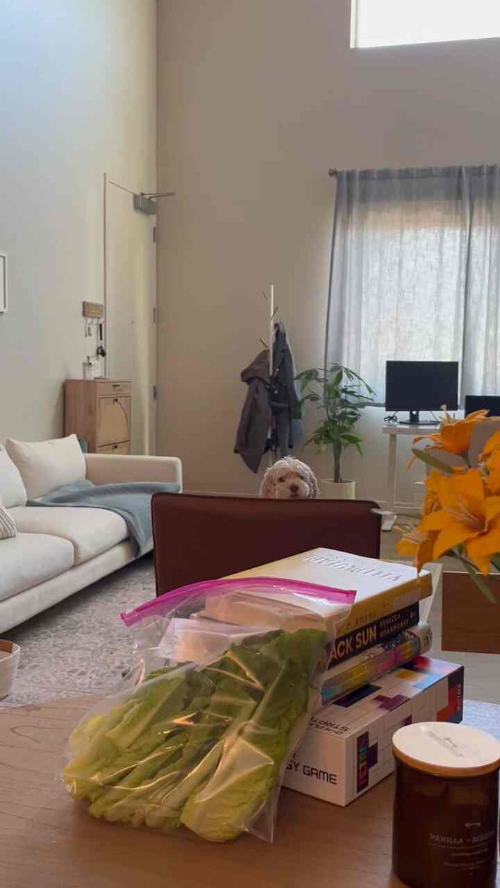 White and light gray toned living room featuring a white sofa and a dog centered behind a chair, giving a cozy atmosphere