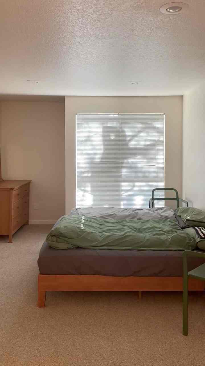 Something is moving outside the window.

#cozy #cozybedroom #bedroom #windowview #bedding 