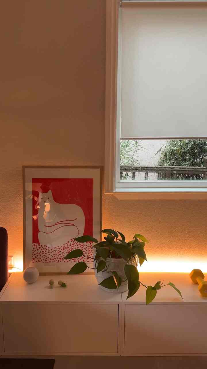Minimal interior space featuring a white storage cabinet with a plant and cat poster beside a window on a rainy day