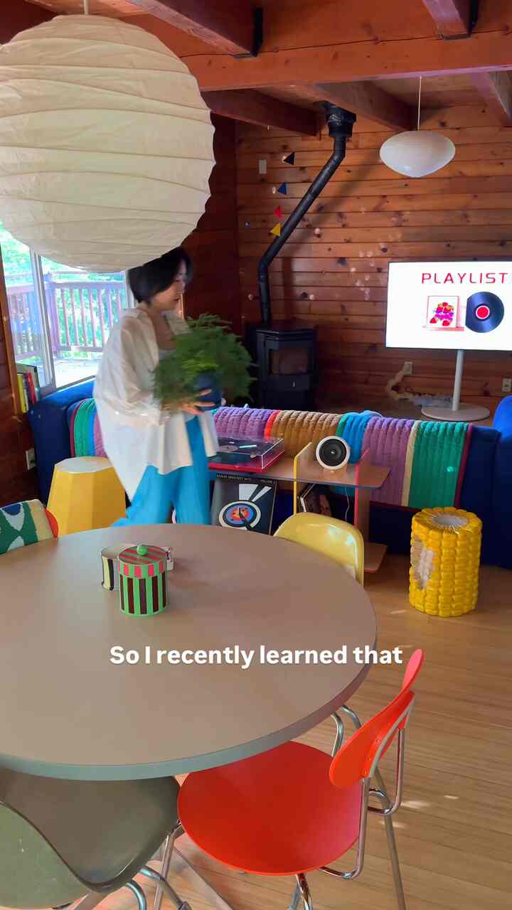 dopamine decor is a thing.
and apparently, we’ve always lived like this 🧃


#dopaminedecor #colorful #colorfulinterior #cabin