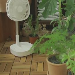 🌿 건강한 식물 키우기 팁 with 선풍기 🌿
선풍기를 식물에게?
집에서 식물을 키우시는 분이라면
꼭 알아두면 좋을 팁 공개합니다~
플랜테리어를 하시는 분들이라면, 식물 러버시라면
영상 보시고 소중한 식물들 건강하게 키워요~!!
-
오늘의집에서 알려드리는 생활 꿀팁!! '오늘할일'
조금씩 조금씩 집 구석구석을 '오늘할일'과 함께 바꿔요!!
더 많은 인테리어 tip이 궁금하시다면❓❓
유튜브 채널 '오늘할일' 을 찾아주세요~
