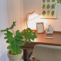 비 오는 날 무드☂️