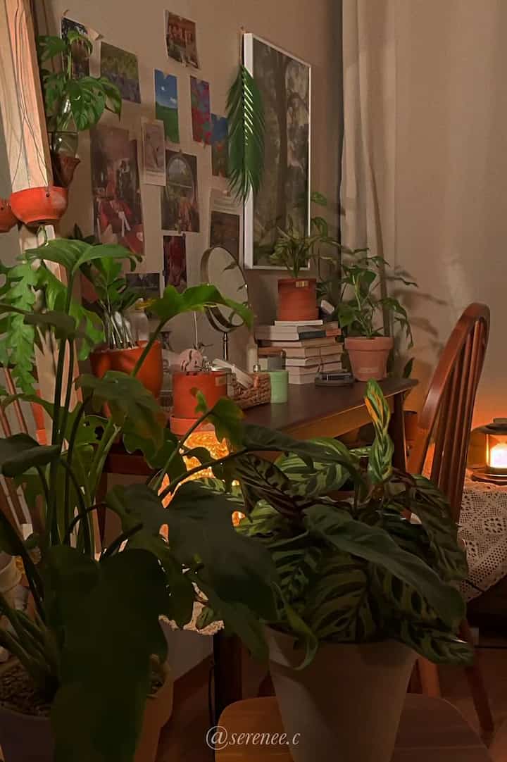 The sight of the leaves of the plants swaying in the wind is pretty :) I hope the rainy season ends soon and the bright sunlight comes.