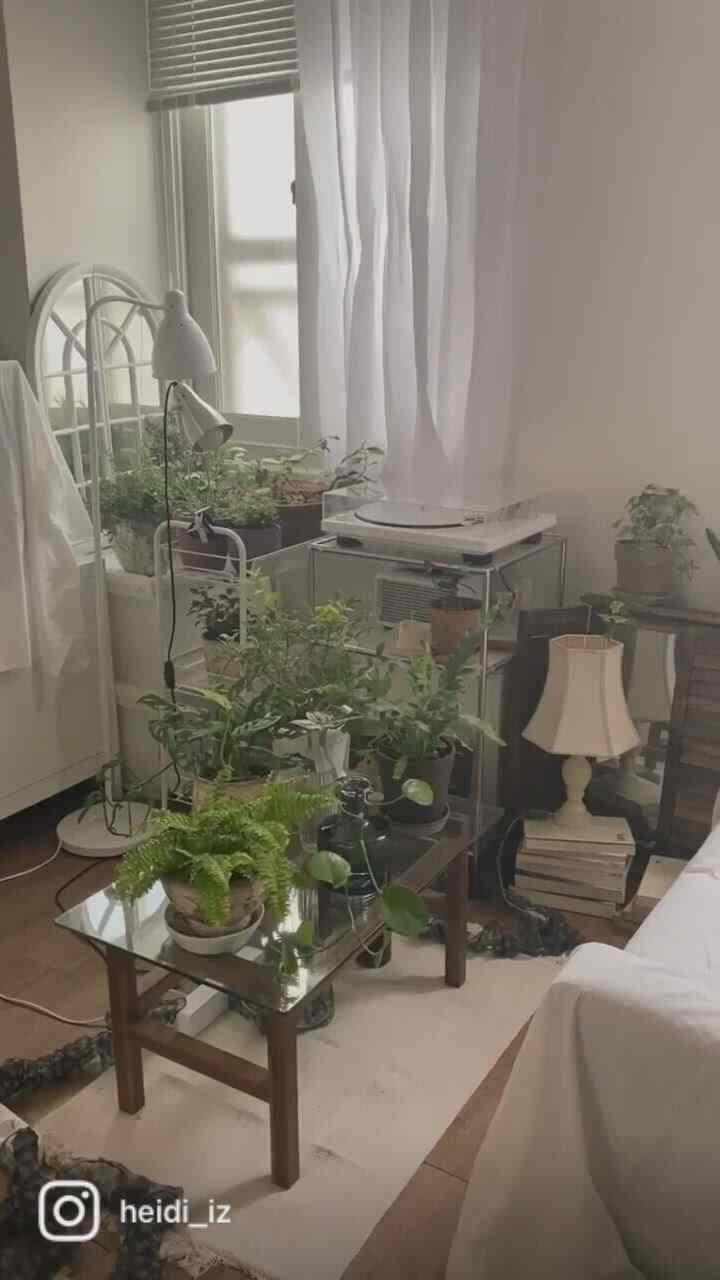 Selamat hari libur. Dengan yang hijau yang memberiku kebahagiaan🪴