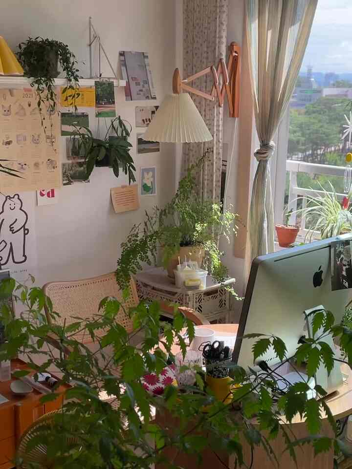 Sunlight coming into my room after a long time ☺️🤍