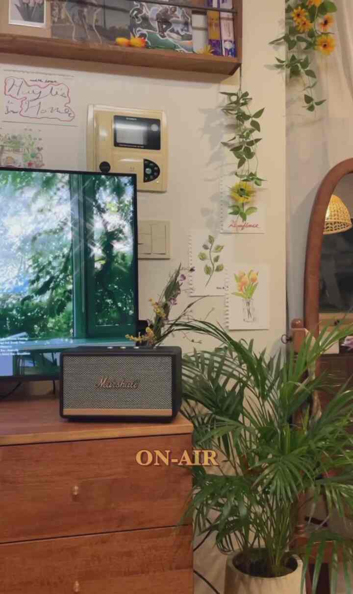 今日の家チェゴ💙マーシャルスピーカー音質は本当に幻想です。