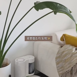 주말이 너무 짧은 맞벌이 삶-
청소, 설거지만 하면 지나가버리는 주말같았지만
로봇청소기를 들일 용기는 없었어요.
어차피 손이 간다는걸 알았거든요.
그러다 러그도 피해주고 먼지도 비워주는걸 보고
바로 신청한 로보락 오리뷰어🙋‍♀️
신나서 남편한테 얘기하니까
첫마디가 “그럼 러그 치워야되겠네?” 였어요.
“아니! 그럴필요없대🤗!!”
러그, 우드러그, 폴딩도어 단까지 넘나들뿐 아니라,
러그에선 물걸레닿지않게
물걸레파트를 들어올리고 청소하더라구요✨
사실 러그가 제일 쉽게 더러워지는데
청소하려면 손이 많이가잖아요..? 
매번 러그까지 함께 청소할 수 있어 대만족이에요.
진짜놀란게 우드러그는 또 물걸레를 해줘요..
걔는 딱딱한재질이란걸 안대요..😳
바닥 물걸레청소는 또 어찌나 잘되는지,
안한곳 바로 티나서 매일 구석구석 청소하게되요.
음파진동이 600g으로 초당 3000회나 반복한대요.
저보다 힘이나 속도나 다 나은것같아욥…
일끝나면 오토엠티도크에 자동으로 돌아가서는
먼지도 알아서 비우니까 손댈 필요가 없었어요.
먼지통도 투명이라 바로 보이기도하고
더스트백넣으니 바로 버릴수있어서 더 만족🤗
구글홈에 연동했더니 
“헤이구글청소해줘” 한마디에 집청소 완료😳🧡
+) 구역지정하고 “헤이구글 침실 청소해줘”하니까
침실만 닦고 들어가요.. 미래세계아닌가요😭