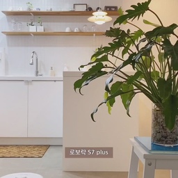 #제품협찬
바닥 짐을 치워놔야 효과가 좋다길래,,
잔짐많은 저는 구비하지 못했던 로봇청소기😳
근데 세상이 빨리 좋아졌나봐요..!
아무것도 치워주지않아도 청소뚝딱이었어요.
매일 로봇청소기로 청소하다보니
눈에 보이거나, 발에 밟히는게 없어서
저 사실 2주동안이나 청소기를 안켰더라고요.
로보락 S7 plus 기능중 가장 자주 사용하는
구역청소와 오토엠티도크를 소개해봅니다-
주방은 늘 기름, 양념이 쉽게 튀기에
하루에 두번도 바닥을 치웠는데요!
어플에서 구역지정해두고 주방만 청소시키니
빠르게 청소되고 너무 편했어요!
오토엠티도크는 자동비움기능인데,
사이클론모터라는 엄청 쎈 모터가 들어가서인지
세상 깔끔하게 먼지통을 비워줬어요..!
손댈일 없이 청소가 끝이랍니다🤗
