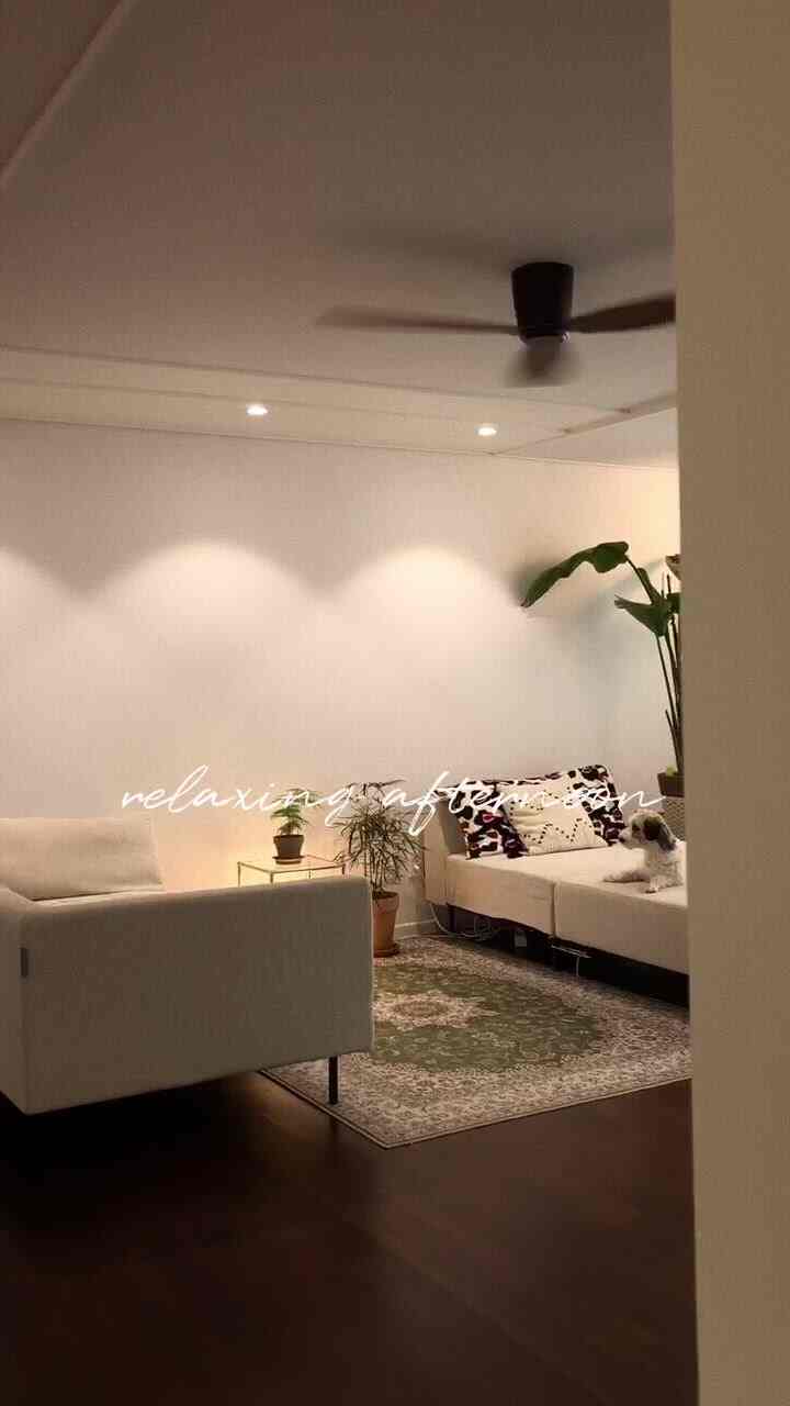 白い壁とダークウッドの床が調和したナチュラルなリビングルーム、クリーム色のモジュラーソファに複数の観葉植物とくつろぐ犬が配置された雰囲気のあるインテリア