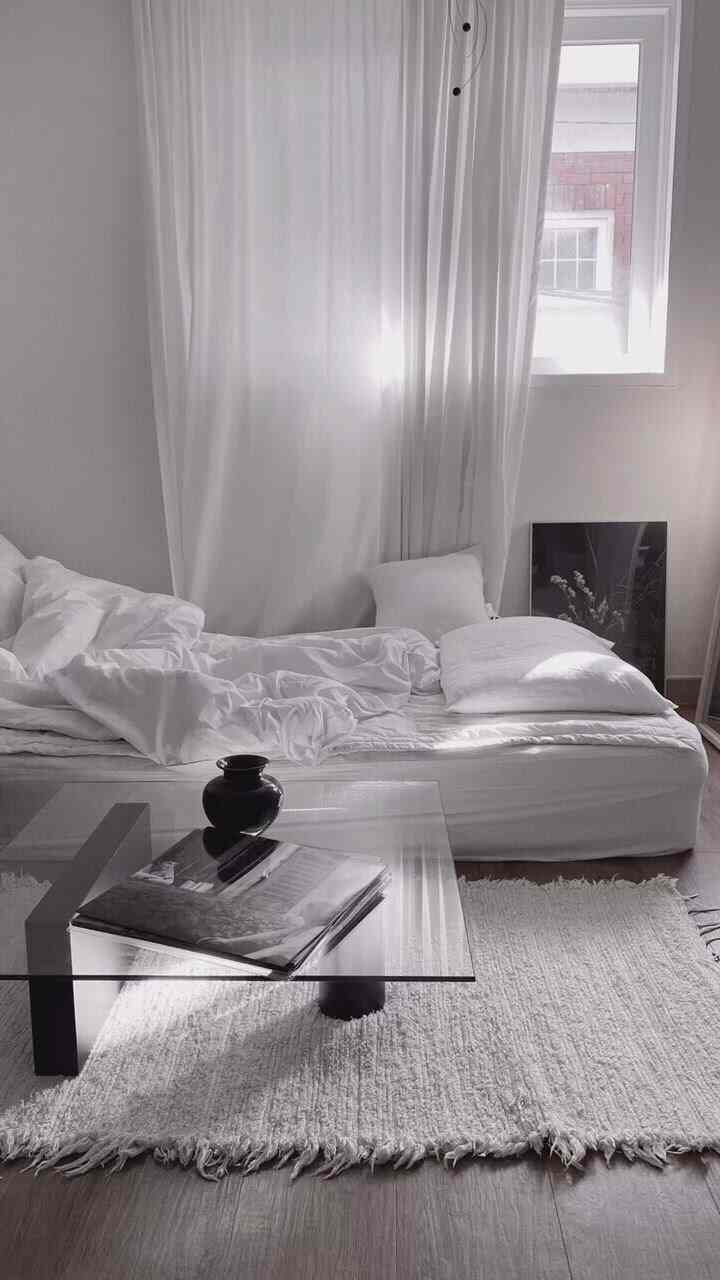 White-toned studio bedroom featuring a white sofa, sheer curtains, and a rug, creating a clean and modern atmosphere