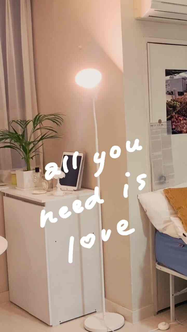 White-toned studio bedroom featuring a white cabinet, floor lamp, and indoor plant creating a cozy atmosphere