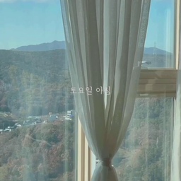 주말 아침
늦가을의 풍경과 햇살이 너무 좋은 하루 : )