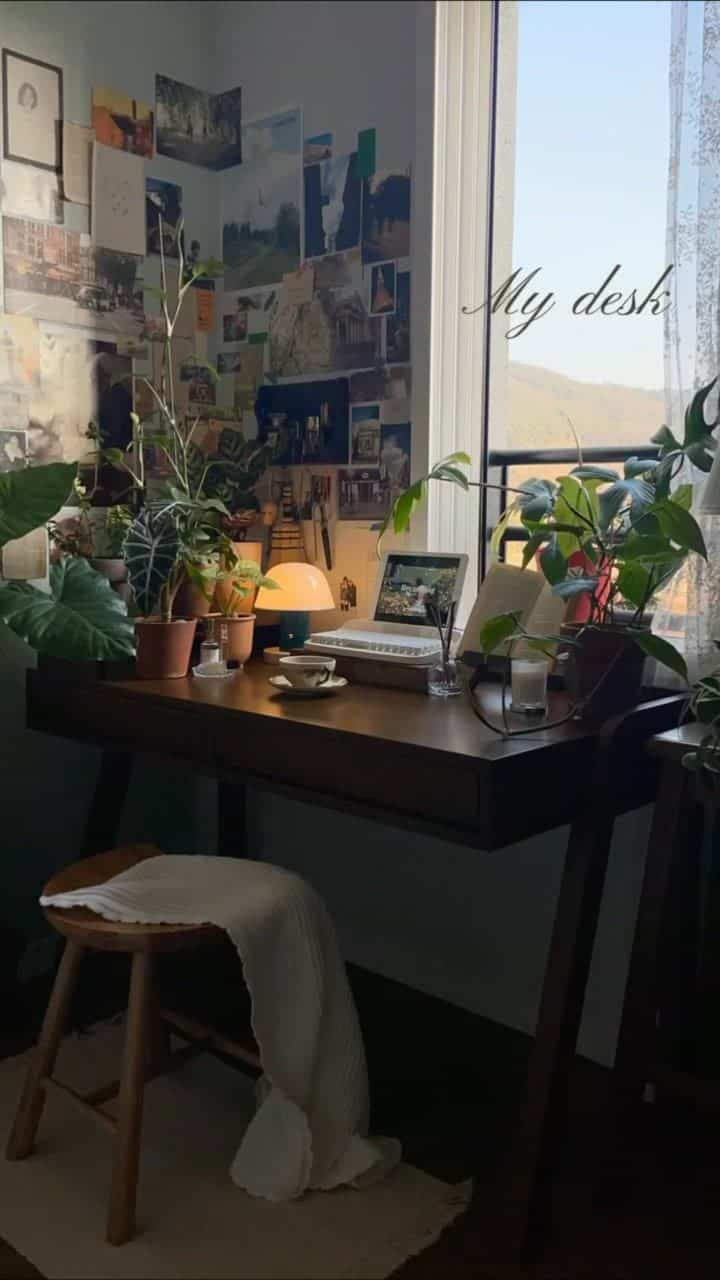 Natural wood-tone study space featuring a wooden desk by the window adorned with various plants and a table lamp, creating a calm atmosphere