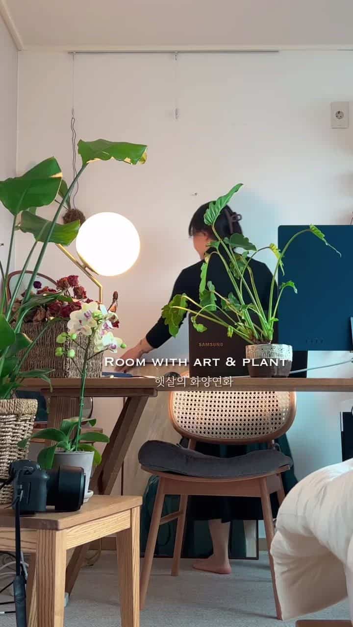 隔離が終わった後、一番最初に花市場を訪問して胡蝶蘭ハンソンイを買っては春を迎えた日の記録

www.instagram.com/sunshine.hometerior