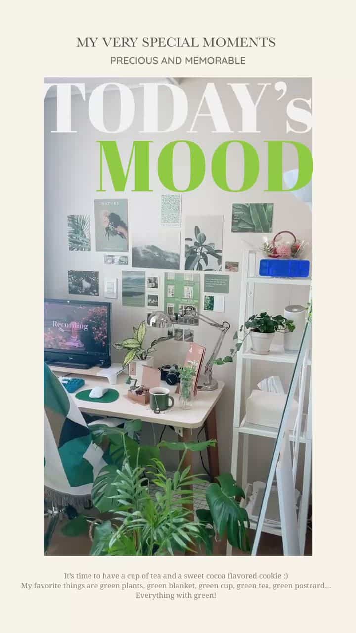 A study room filled with green postcards and photos🌿