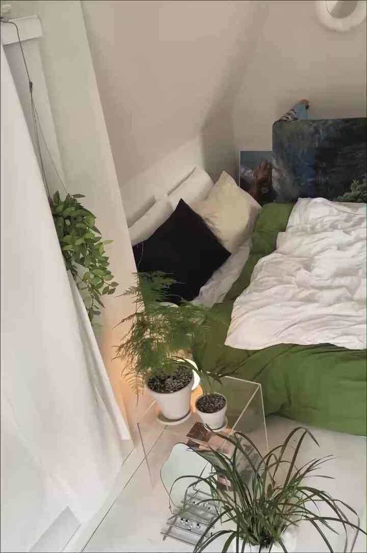Designer butler and cat sleeping space