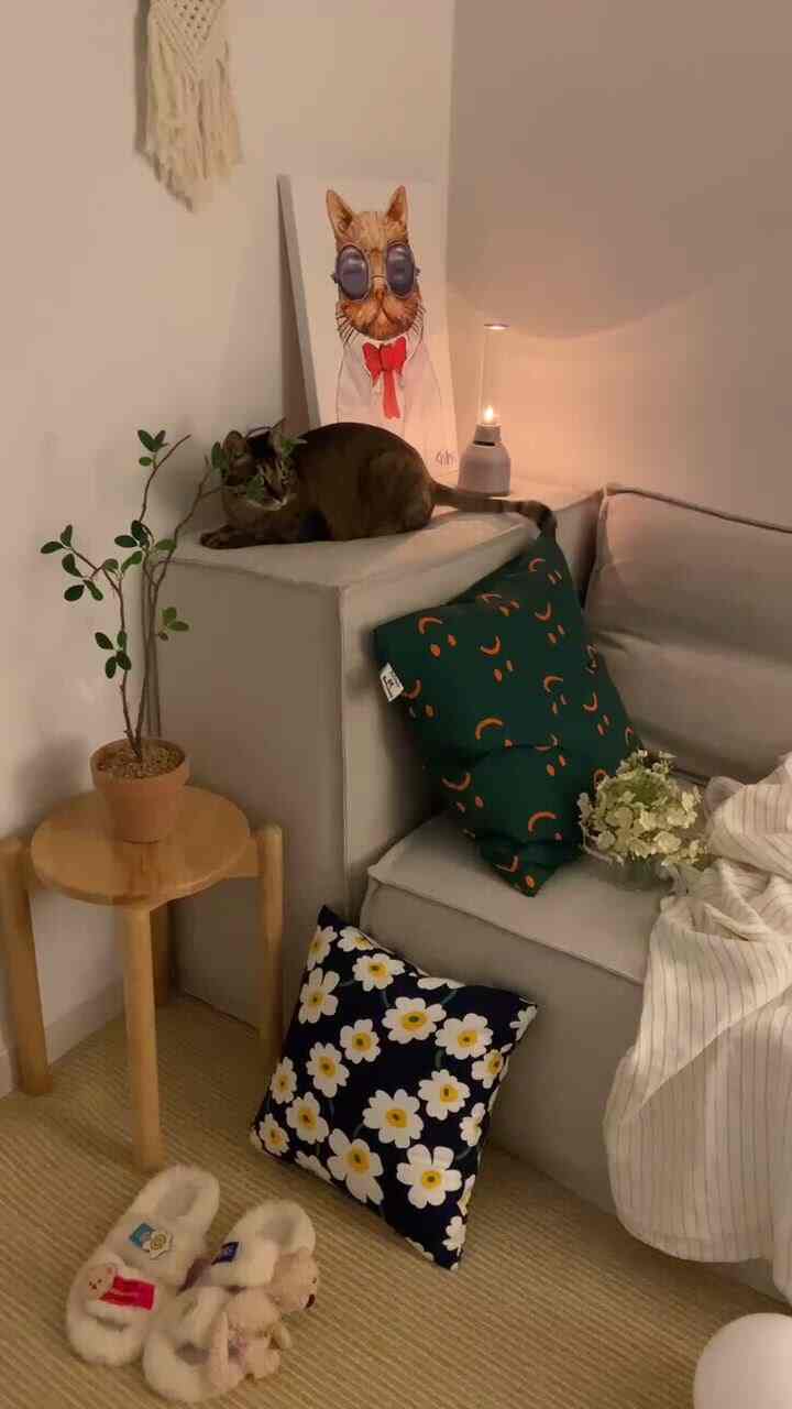 Beige and gray toned living room featuring a gray sofa with patterned cushions, a cat resting, and cozy warm lighting