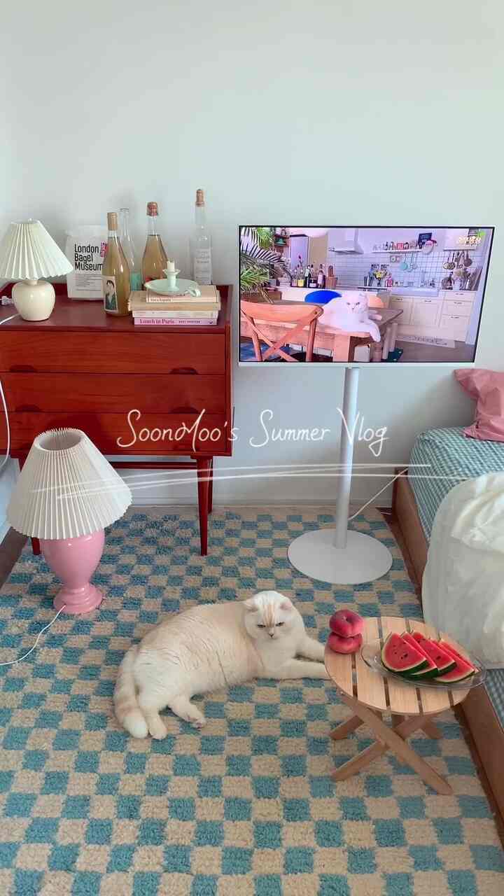 White-walled bedroom featuring blue checkered rug, a cream cat, wooden console table, and a small round coffee table creating cozy vibe