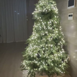 일찌감치 트리멍 하고 있는 중인데 너무 이쁘네요 🎄