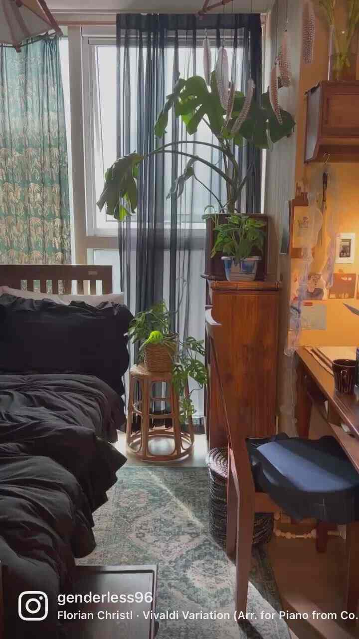 Small bedroom and home office space featuring black chiffon curtains, wooden furniture, and plants