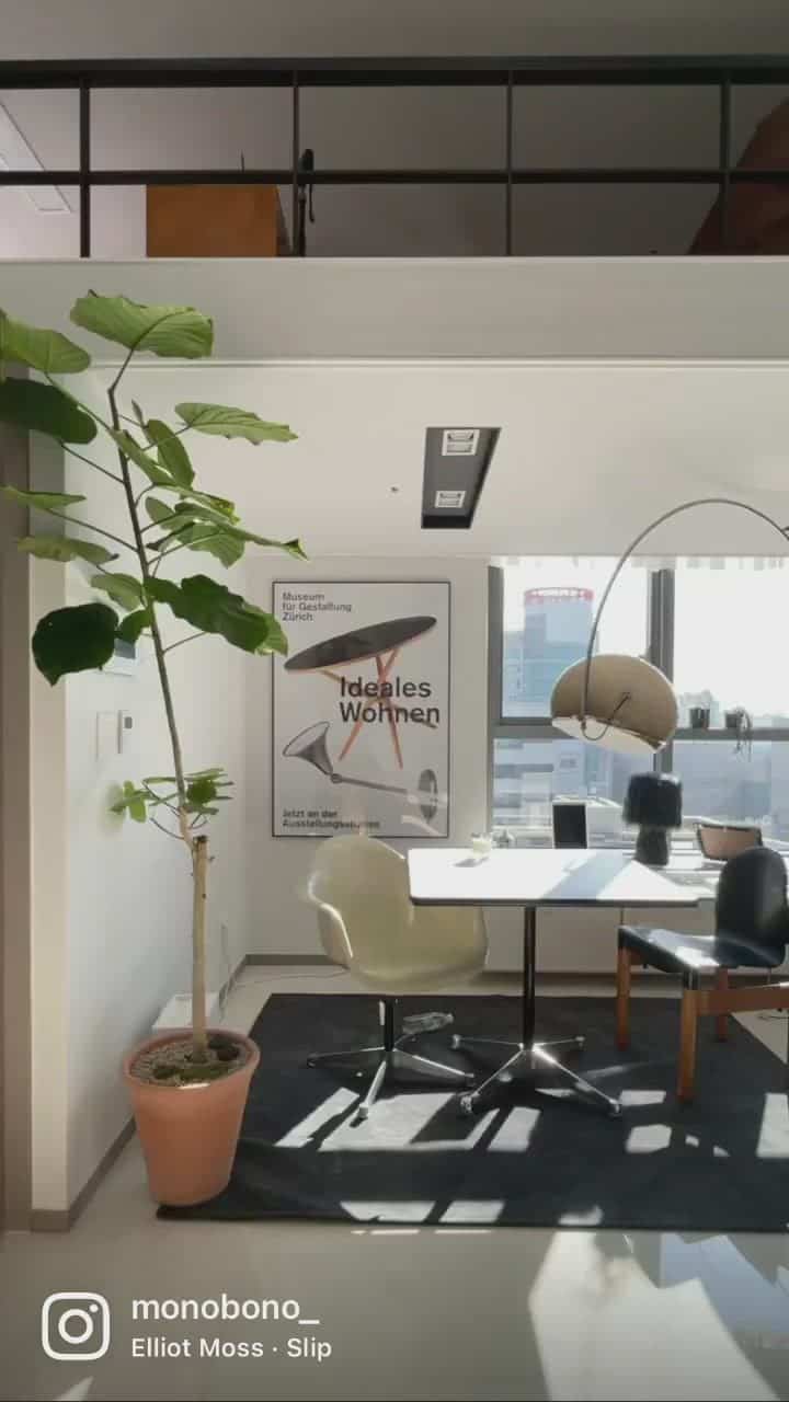 New plant in our house