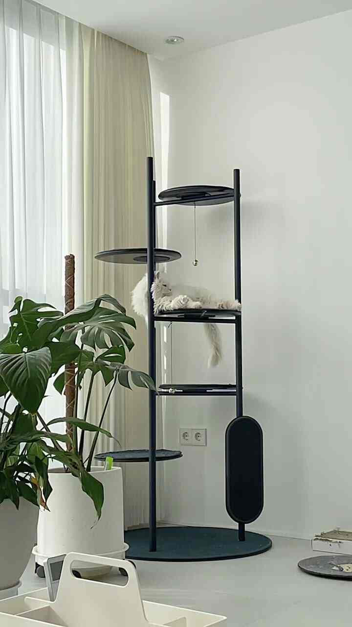 白い壁と木目調の家具、モンステラの植物とキャットタワーが配置されたミッドセンチュリーモダンなリビング